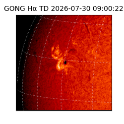 gong - 2026-07-30T09:00:22