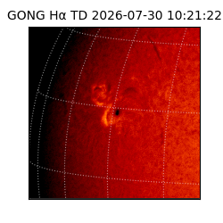 gong - 2026-07-30T10:21:22