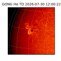 gong - 2026-07-30T12:00:22