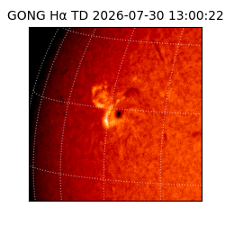 gong - 2026-07-30T13:00:22