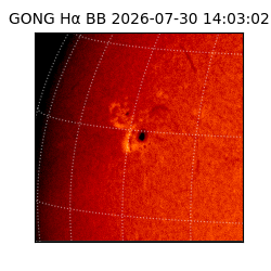 gong - 2026-07-30T14:03:02