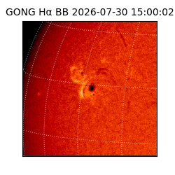gong - 2026-07-30T15:00:02