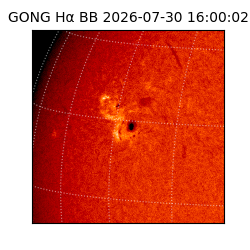 gong - 2026-07-30T16:00:02