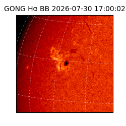 gong - 2026-07-30T17:00:02