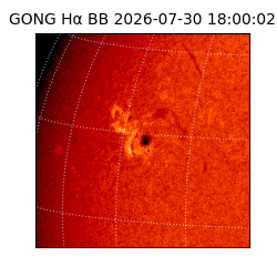 gong - 2026-07-30T18:00:02