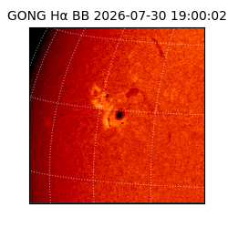 gong - 2026-07-30T19:00:02