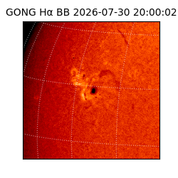gong - 2026-07-30T20:00:02