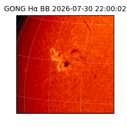 gong - 2026-07-30T22:00:02