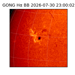gong - 2026-07-30T23:00:02