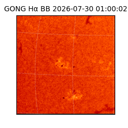 gong - 2026-07-30T01:00:02