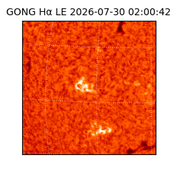 gong - 2026-07-30T02:00:42