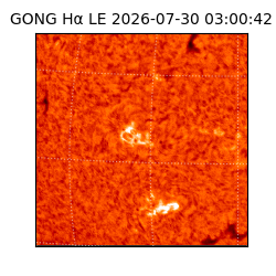 gong - 2026-07-30T03:00:42