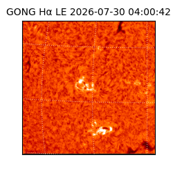 gong - 2026-07-30T04:00:42