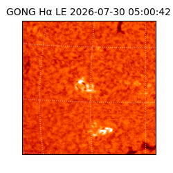 gong - 2026-07-30T05:00:42