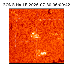 gong - 2026-07-30T06:00:42