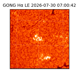 gong - 2026-07-30T07:00:42