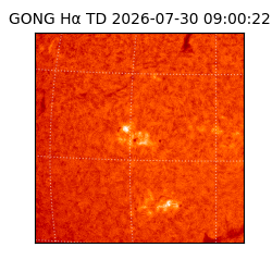 gong - 2026-07-30T09:00:22