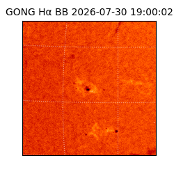 gong - 2026-07-30T19:00:02
