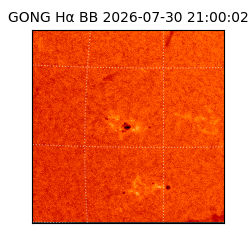 gong - 2026-07-30T21:00:02