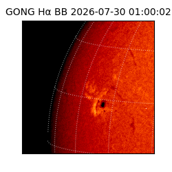 gong - 2026-07-30T01:00:02