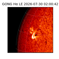 gong - 2026-07-30T02:00:42