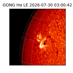 gong - 2026-07-30T03:00:42