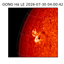 gong - 2026-07-30T04:00:42