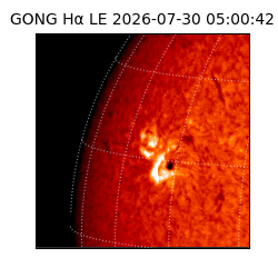 gong - 2026-07-30T05:00:42