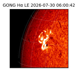 gong - 2026-07-30T06:00:42