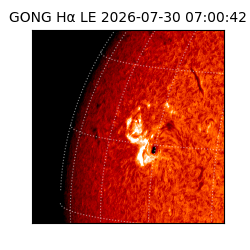 gong - 2026-07-30T07:00:42