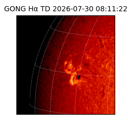 gong - 2026-07-30T08:11:22