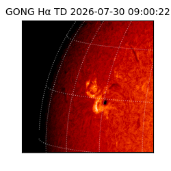 gong - 2026-07-30T09:00:22