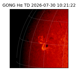 gong - 2026-07-30T10:21:22