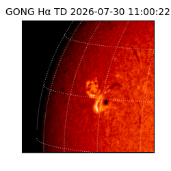 gong - 2026-07-30T11:00:22