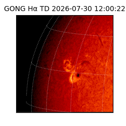 gong - 2026-07-30T12:00:22