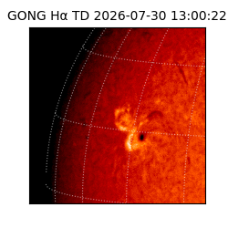 gong - 2026-07-30T13:00:22