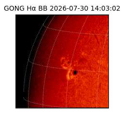 gong - 2026-07-30T14:03:02