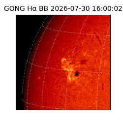 gong - 2026-07-30T16:00:02