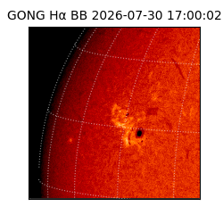 gong - 2026-07-30T17:00:02