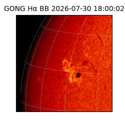 gong - 2026-07-30T18:00:02