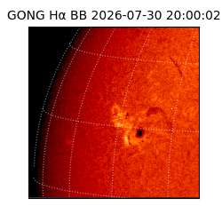 gong - 2026-07-30T20:00:02