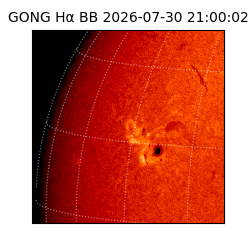 gong - 2026-07-30T21:00:02