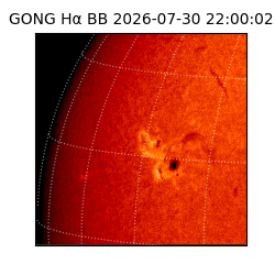 gong - 2026-07-30T22:00:02