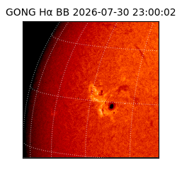 gong - 2026-07-30T23:00:02