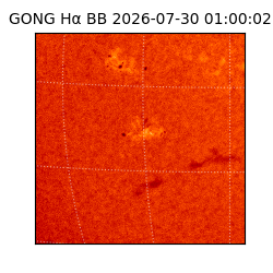 gong - 2026-07-30T01:00:02
