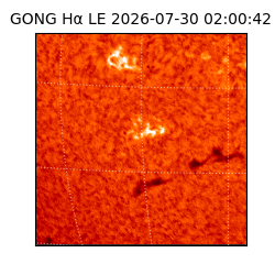 gong - 2026-07-30T02:00:42