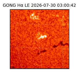 gong - 2026-07-30T03:00:42