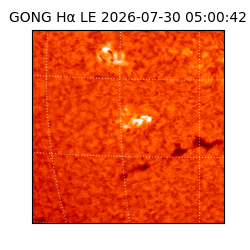 gong - 2026-07-30T05:00:42