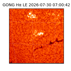gong - 2026-07-30T07:00:42