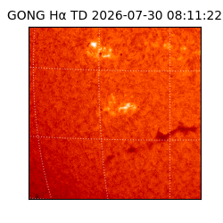 gong - 2026-07-30T08:11:22